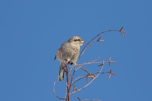 unnamed-1-4.jpg